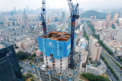 零借歲月煥新顏，共享時代品質城——探索深圳民生工程建設心得